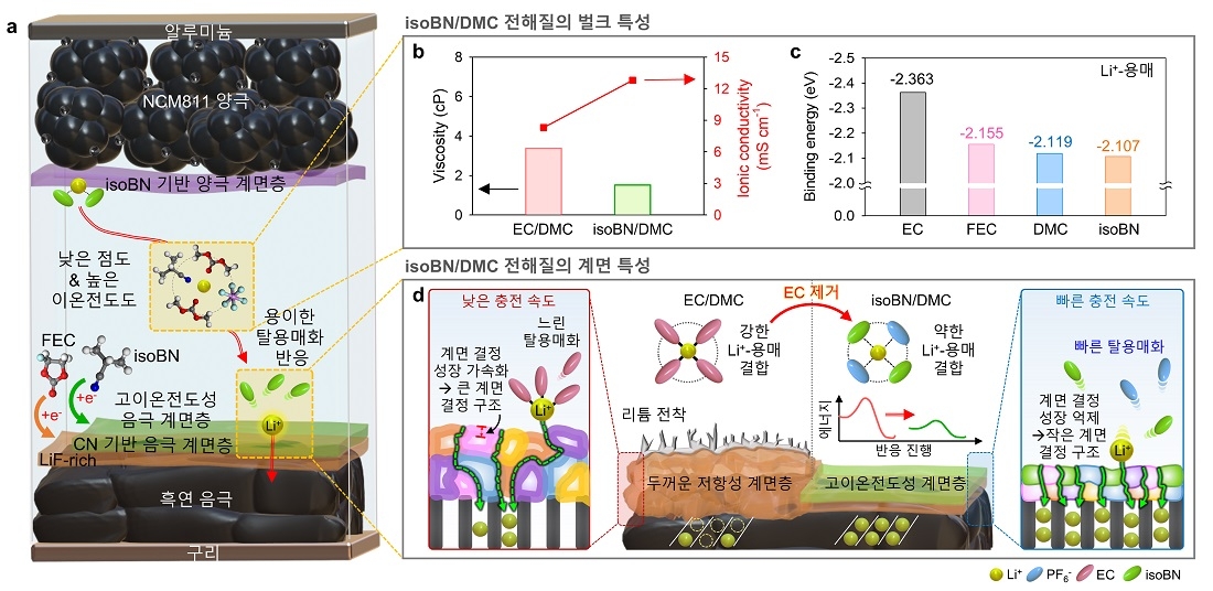 리튬 이온 배터리의 전해질 용매 원리 ⓒKAIST 제공