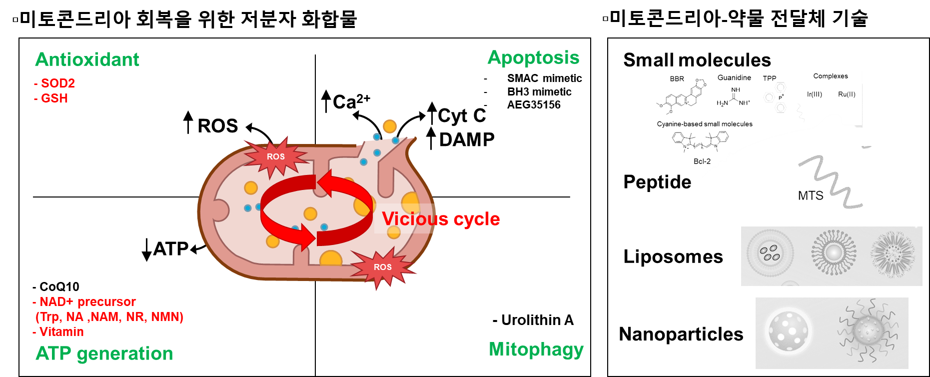 그림3. 미토콘드리아 손상 치료전략: 저분자화합물, 미토콘드리아 약물 전달체 기술 ⓒKFRM푸름이야기