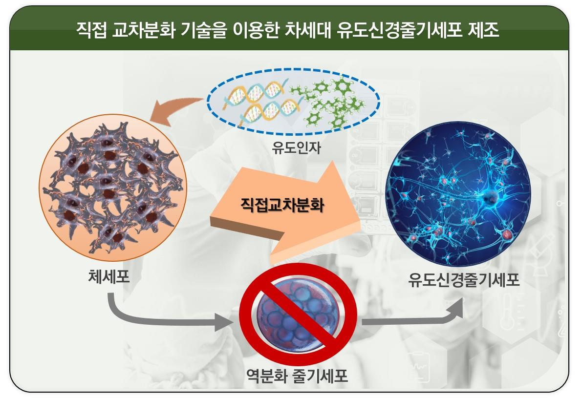 희귀 난치성 시신경척수염 범주질환의 세포치료제 개발현황