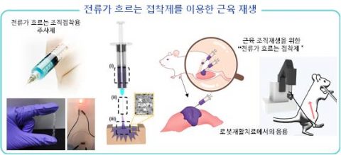 그림2. 전류가 흐르는 접착제를 이용한 근육재생 및 로봇재활치료 ⓒKRFM푸름이야기