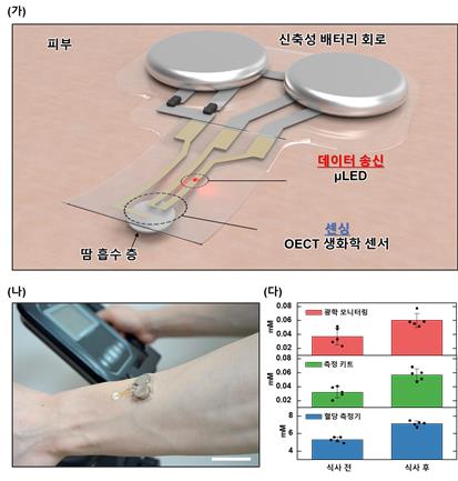 머리카락 굵기 20분의 1 초박막 센서로 땀 속 포도당 농도 잰다