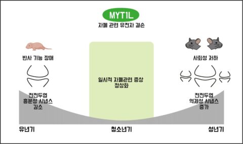 자폐 스펙트럼의 의미와 원인 6